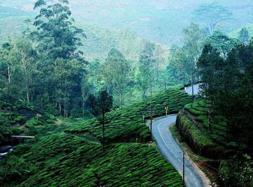 Misty Vagamon Resort