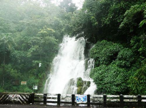 Misty Vagamon Resort