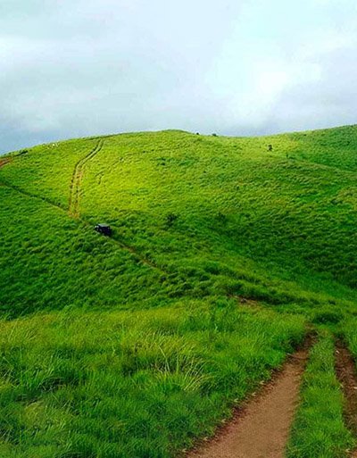 Misty Vagamon Resort